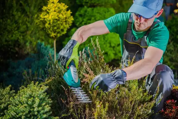 landscaping services Mechanicstown